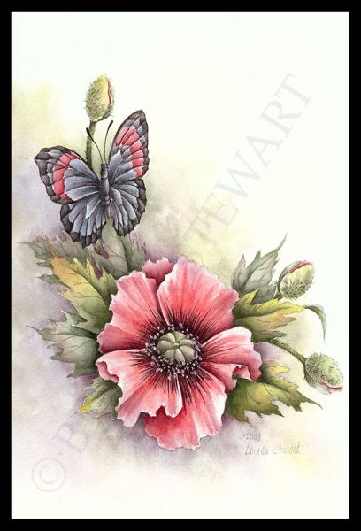 Poppy & Butterfly Watercolor Tutorial
